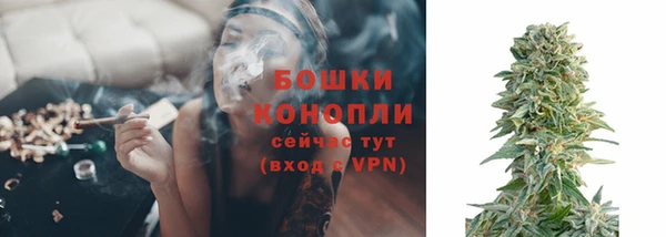 крисы Беломорск