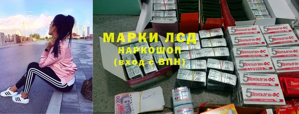 крисы Беломорск
