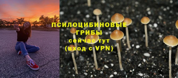 ПСИЛОЦИБИНОВЫЕ ГРИБЫ Богородск