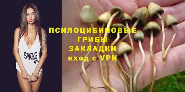 каннабис Белокуриха