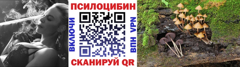 гидра зеркало  Ковдор  Псилоцибиновые грибы Magic Shrooms 